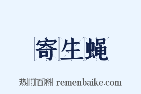 寄生蝇是什么意思的图片